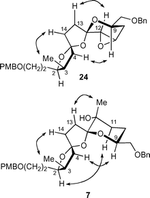 Characteristic NOESY correlations for the assignment of the absolute configuration of epoxide 24 and alcohol 7.