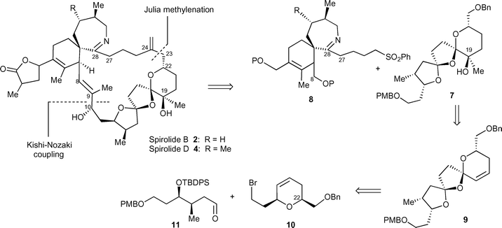 Retrosynthesis of spirolides B 2 and D 4.