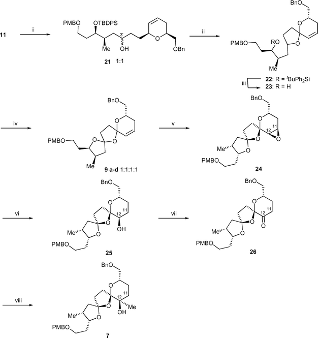 Reagents and conditions and yields: (i) 10, Mg, Br(CH2)2Br, I2, Et2O, room temp., 88%; (ii) PhI(OAc)2, I2, hν, cyclohexane, room temp., 86%; (iii) Bu4NF, DMF, 80 °C, 82%; (iv) PhI(OAc)2, I2, hν, cyclohexane, room temp., 81%; (v) m-CPBA, CH2Cl2, 0 °C to room temp., 63%; (vi) DIBALH, hexane, 0 °C, 54%; (viii) Dess–Martin periodinane, CH2Cl2, room temp., 88%; (viii) MeMgBr, Et2O, −78 °C, 86%.