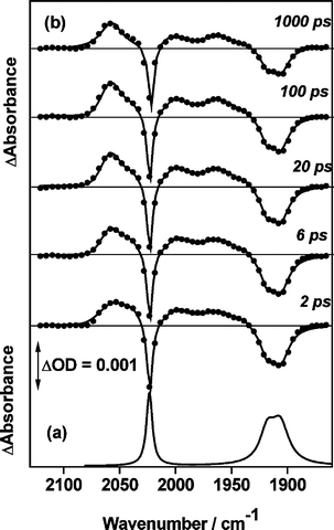 (a) FTIR spectrum of fac-[Re(Cl)(CO)3{(CH3)2ppb}] (I) in CH3CN at room temperature. (b) Series of TRIR spectra obtained between 2 and 1000 ps after 400 nm excitation of this solution.