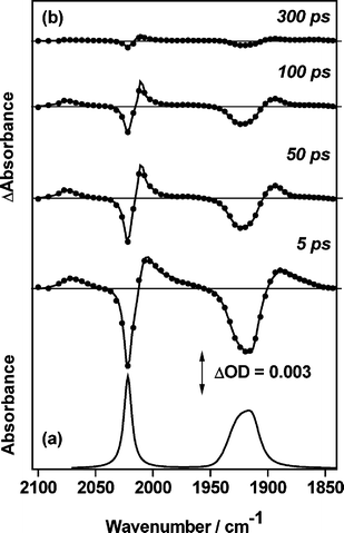 (a) FTIR spectrum of fac-[{Re(Cl)(CO)3}2{(CH3)2ppb}] (II) in CH3CN at room temperature. (b) Series of TRIR spectra obtained between 5 and 300 ps after 400 nm excitation of this solution.