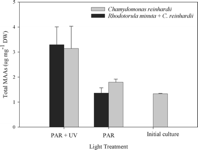 Total MAA concentration in Boeckella antiqua after 20 days of feeding on either Chlamydomonas reinhardii alone or C. reinhardii plus the yeast Rhodotorula minuta. Initial culture bar shows the basal level of MAAs present in B. antiqua at the beginning of the experiment. The copepods were exposed to PAR only or PAR plus UVR. The total MAA concentration (means ± SD) was significantly higher in copepods exposed to PAR + UVR as compared to those exposed to PAR alone (F = 42.95, df = 1, P = 0.0001, n = 12), but there were no significant differences between diets (F = 0.34, df = 1, P = 0.57, n = 12).