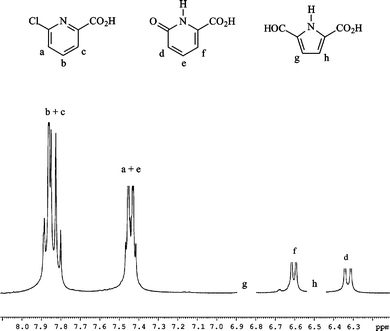 Proton NMR spectrum of an irradiated solution of I. Conversion extent of 20%. A few drops of D2O were added to the initial solution in DMSO-d6.