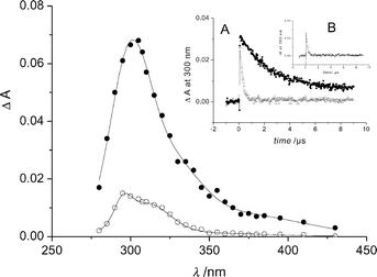 Transient spectra from deoxygenated anionic I measured at the end of the pulse (●) and 20 µs after the end of the pulse (○). Insert A: absorbance decay at 300 nm in deoxygenated medium (●) and in oxygen-saturated medium (△). Insert B: absorbance decay at 300 nm in deoxygenated medium containing methyl acrylate (2 × 10−3 mol dm−3).