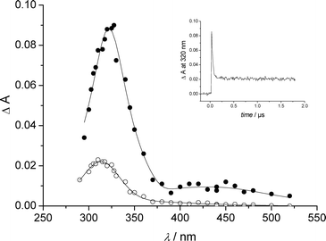 Transient spectra from deoxygenated water solution of II at pH 1 measured at the end of the pulse (●) and 2 µs after the end of pulse (○). Insert: absorbance decay at 320 nm.