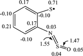 B3LYP/6-31G* spin density distribution for the radical 8a (selected bond lengths (in Å) are also shown).