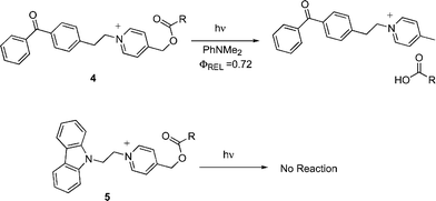 Mediator and sensitizer linked NAP esters.