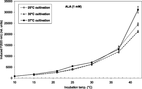 ALA-induced fluorescence at 620 nm from endogenous porphyrins after 4 h incubation (1 mM ALA) at temperatures between 10 and 42 °C. Prior to the incubation the bacteria were grown at 25 °C (7 days), 30 °C (5 days), or 37 °C (2–3 days) as indicated in the figure insert.