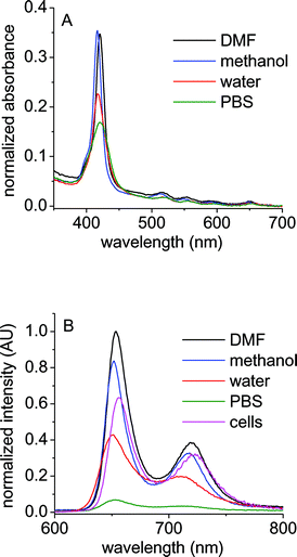 (A) Absorption spectra and (B) fluorescence emission spectra (λexc = 550 nm) of A3B+3 porphyrin in N,N-dimethylformamide (DMF), methanol, water, buffer phosphate saline solution (PBS) and E. coli cellular suspension (cells). E. coli cells (∼106 CFU mL−1) treated with 1 µM of sensitizer for 30 min at 37 °C in dark, washed once and re-suspended in PBS.