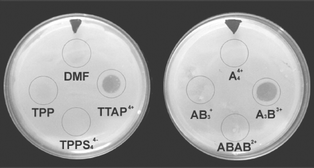 Inactivation of E. coli cells on TS agar irradiated with visible light for 10 min. The circles indicate the area where 10 nmol of sensitizer was spread from a solution 4.5 × 10−4 M in DMF.