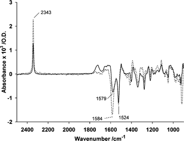 IR difference spectra for photolysis of DM-nitrophen 2 determined in the absence (—) and presence (⋯) of Ca2+. The data are averaged from spectra recorded after a single flash on each of 3 replicate solutions that contained 44 mM DM-nitrophen in 500 mM MOPS, pH 7 ± 200 mM CaCl2 (in H2O), 20 °C, and cover a time interval 0–3.4 s after the light flash.