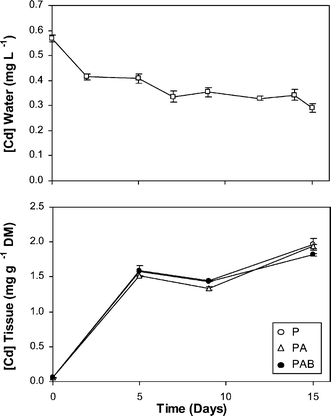 Cadmium concentrations in the water (top) and in the liverwort tissues for the three radiation regimes used, P, PA and PAB (bottom), in the Cd-treated culture along the experimental period. In the control, Cd in water was undetectable (<0.1 µg l−1) and concentrations in the tissues (around 0.10 mg g−1 DM) are not shown for clarity reasons. Means ± SE are shown.