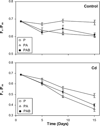 Temporal variations in Fv/Fm, along the culture period, in the liverwort samples cultured in the two culture media (control and Cd) and under the three radiation regimes (P, PA and PAB). Means ± SE are shown.