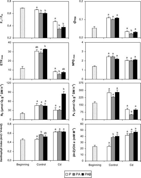 Final values of chlorophyll fluorescence variables, net photosynthesis (PN) and dark respiration (RD) rates, xanthophyll index ((A + Z)/(V + A + Z)) and (A + Z)/Chl a in the two culture media (control and Cd) and under the three radiation regimes (P, PA and PAB). Different letters indicate significant differences (at least P < 0.05) between the radiation regimes for each culture medium. Initial values of variables are also included. Means ± SE are shown.