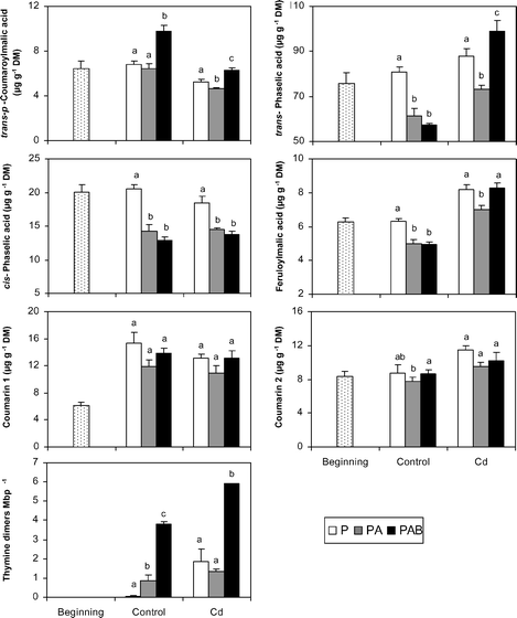 Final values of the concentrations of individual UV-absorbing compounds of J. cordifolia and thymine dimers in the two culture media (control and Cd) and under the three radiation regimes (P, PA and PAB). Coumarins 1 and 2 are named in full in the text. Different letters indicate significant differences (at least P < 0.05) between the radiation regimes for each culture medium. Initial values are also included (thymine dimers were not measured at the beginning of the experiment). Means ± SE are shown.