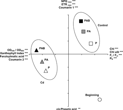 Principal Components Analysis (PCA) performed using the final values of the physiological variables of the samples cultivated in the two culture media (control and Cd) and under the three radiation regimes (P, PA and PAB), together with the initial values (beginning). The most significant loading factors for the positive and negative parts of each axis are shown (*** P < 0.001, ** P < 0.01). Coumarins 1 and 2 are named in full in the text. Axis 1 is the horizontal one and axis 2 the vertical one. Each tick-mark on axes 1 and 2 represents 1 unit.