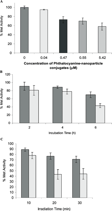Variation and optimization of parameters for the in vitro PDT of HeLa cells using phthalocyanine-nanoparticle conjugates as determined by MTT assay. All data are an average of 3 replicates for each parameter. (A) Effect of phthalocyanine-nanoparticle conjugate concentration when incubated with the HeLa cells for 6 h. (B) Effect of duration of incubation of 0.55 µM phthalocyanine-nanoparticle conjugates with the HeLa cells for 2, 4 or 6 h before (dark grey) and after (light grey) irradiation with a 690 nm diode laser at 1.84 mW cm−1 for 10 min. (C) Effect of duration of irradiation of the 0.55 µM phthalocyanine-nanoparticle conjugates on HeLa cell viability. Cells were irradiated for 10, 20 or 30 min (light grey) (using a 690 nm diode laser at 1.66 mW cm−1). Controls, where the nanoparticle conjugates within the cells were not irradiated are shown for comparison (dark grey).