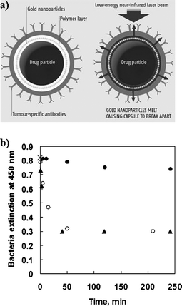 (a) Illustration of laser-induced drug release from biofunctionalized polyelectrolyte–gold nanoparticle capsules (diagram courtesy of New Scientist, Issue 8, January 5, 2005). (b) Extinction at 450 nm of the bacterium micrococcus lysodeikticus as a function of time after mixing with various poly(sodium 4-styrenesulfonate) (PSS)–poly(allylamine hydrochloride) (PAH)–gold nanoparticle-encapsulated lysozyme crystals: intact encapsulated crystals (closed circles); irradiated encapsulated crystals (open circles); crushed encapsulated crystals (triangles). The initial data point (0 min, 0.82), denoted by a cross, applies to all three systems. The bacterium is a substrate for the enzymatic action of lysozyme, with its extinction being a measure of the amount of bacteria in the sample. Hence, the amount of bacteria digested by the lysozyme correlates to the activity of the released lysozyme. When no release is induced, the extinction is essentially constant over the time range investigated; this implies that the lysozyme-loaded PSS–PAH–gold nanoparticle capsules are effectively leak-proof. When release is induced via laser irradiation, the extinction decreases abruptly and then levels out; this indicates that a significant proportion of the bacteria are digested and that the lysozyme activity remains stable, following the laser-induced release. When release is induced via crushing, the decay in the extinction is very similar to that for the laser-induced release case; this indicates that any loss in lysozyme activity induced by the laser pulse is comparable to that caused by mechanical rupturing of the capsules.