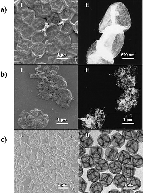 (a) (i) Scanning electron microscope (SEM) and (ii) transmission electron microscope (TEM) images of PSS–PAH–gold nanoparticle capsules prior to laser exposure. The dried capsules resemble deflated balloons, and there is a homogeneous dense packing of gold nanoparticles (which appear bright in TEM) within the capsule shells. (b) (i) SEM and (ii) TEM images of PSS–PAH–gold nanoparticle capsules following laser exposure. The outlines of individual capsules can no longer be readily discerned, and there is evidence of gold nanoparticle fusion among the remnants of the capsules. (c) (i) SEM and (ii) TEM images of PSS–PAH capsules prior to laser exposure. These images are indistinguishable from those of PSS–PAH capsules following laser exposure, indicating that the laser irradiation has no apparent effect on the morphology of PSS–PAH capsules without the light-absorbing gold nanoparticles in their shell.