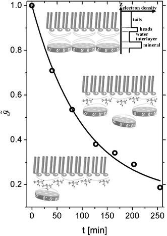 Time evolution of the mineral layer coverage  with time (t = 0 corresponds to the equilibrium coverage before the injection of citric acid). The solid line is a fit according to eqn. (2). The insets sketch different stages of the system during the desorption process. In the upper inset, a schematic of the electron density profile corresponding to a four layer model is shown. Note that the sketches are not drawn to scale.