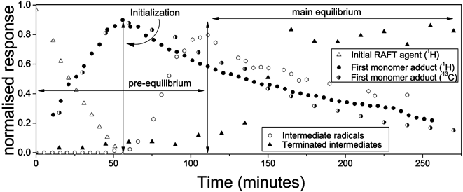 The RAFT process in a homopolymerization of styrene mediated by cumyl dithiobenzoate. Three experiments with identical reactant concentrations are combined in the scheme: in situ1H NMR Spectroscopic,2913C NMR spectroscopic30 and ESR spectroscopic30 experiments. The integration of signals provides a qualitative description of the behaviour within the polymerization reaction. The data presented in the scheme are supportive of the intermediate radical termination model. The decrease of the intermediate radical concentration (after the pre-equilibrium at circa 110 min) scales with [I]0.5. The integrations of the terminated species are integrations over an area of the spectrum and only provide an indication of the increase in concentration of these species.30