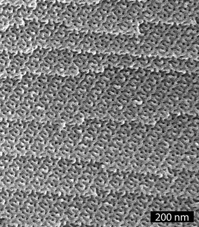 SEM image of d-PS–PLA.