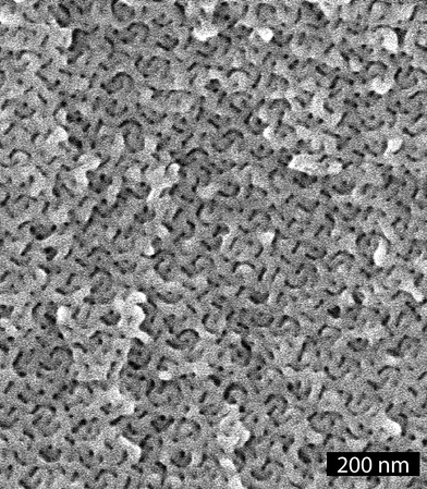 SEM image of d-PS–PEO.