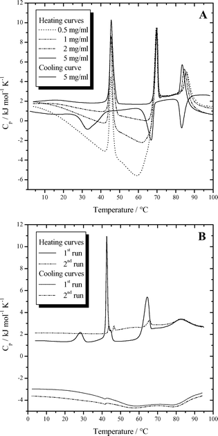 (A) DSC curves for different concentrations of Me2PE-C32-Me2PE in buffer solution at pH 5. (B) DSC curves (two scans) of 5 mg ml−1 Me2PE-C32-Me2PE in buffer solution at pH 10.