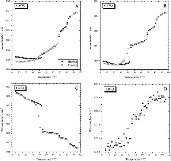 Wavenumbers of characteristic IR-bands as a function of temperature determined for a dispersion of 50 mg ml−1 Me2PE-C32-Me2PE in D2O at pH 5: (A) antisymmetric methylene stretching vibration; (B) symmetric methylene stretching vibration; (C) methylene scissoring vibration;. (D) symmetric PO2− stretching vibration.