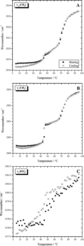 Wavenumbers of characteristic IR-bands as a function of temperature determined for a dispersion of 50 mg ml−1 Me2PE-C32-Me2PE in D2O at pH 10: (A) antisymmetric methylene stretching vibration; (B) symmetric methylene stretching vibration; (C) symmetric PO2− stretching vibration.