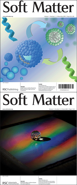 Covers from 2005 (a) Cover picture from Julian Eastoe and Ana Vesperinas (Issue 5); (b) inside front cover from David Quéré and Mathilde Callies (Issue 1).