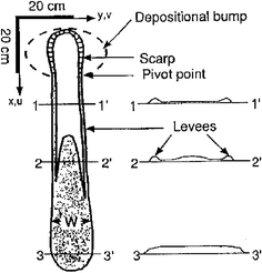 The inclined plane experiment with a heap of dry sand. The similarity of the resulting avalanche deposit with that of the clay avalanche is striking, especially the very characteristic ‘horseshoe’ form at the top of the plane.29