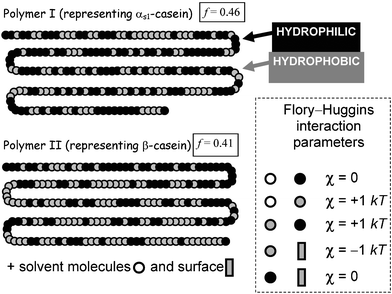 Representation of the primary sequences of αs1-casein (polymer I) and β-casein (polymer II) as copolymers composed of just two kinds of segments (hydrophobic and hydrophilic). Flory–Huggins interaction parameters determine the relative energies of the unlike pair interactions (segment–segment, segment–solvent, segment–surface). The lower is the value of the statistical parameter f, defined by eqn (1), the greater is the deviation from the segment distribution of the random copolymer (f = ½).