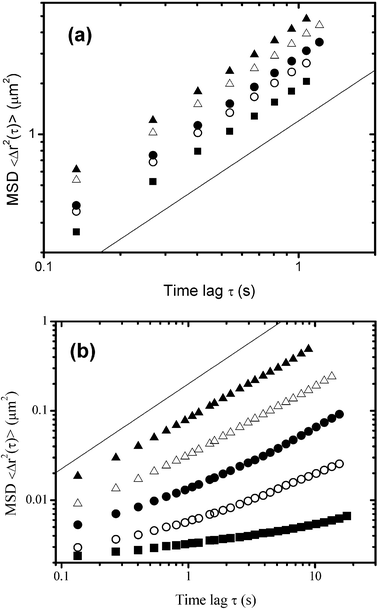 Effect of the xanthan concentration on the diffusion of fluorescent microspheres as determined by individual particle tracking in different regions of phase-separating emulsions (30 vol% oil, 1.4 wt% sodium caseinate).83 The ensemble-average mean-square displacement (MSD), <Δr2(τ)>, is plotted on a log–log scale against the time lag τ for (a) xanthan-rich aqueous regions and (b) floccculated oil-droplet rich regions: ▲, 0.03 wt%; △, 0.04 wt%; ●, 0.05 wt%; ○, 0.06 wt%; ■, 0.07 wt%. The straight lines of slope unity correspond to purely diffusive behaviour.