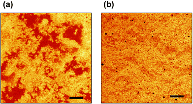 Effect of replacing a small fraction of β-lactoglobulin by sodium caseinate on the state of aggregation of a concentrated oil-in-water emulsion (45 vol% oil, 3 wt% total protein, pH 6.8, ionic strength 0.03 M) heated for 6 minutes at 90 °C. Confocal micrographs were obtained with Rhodamine B as the fluorescent protein stain: (a) emulsion containing 3 wt% β-lactoglobulin; (b) emulsion containing 2.85 wt% β-lactoglobulin + 0.15 wt% sodium caseinate. Scale bar = 20 µm.(Reproduced with permission from ref. 36.)