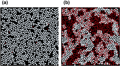 Effect of a competing surfactant on the interfacial structure of a simulated globular protein film composed of bond-forming particles: (a) at a very low surfactant surface coverage; (b) at a moderately high surfactant coverage. Protein-like particles and surfactant displacer particles are coloured white and red, respectively.