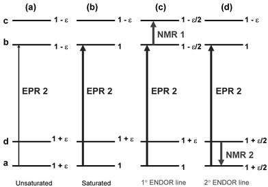 Principles And Applications Of Endor Spectroscopy For Structure Determination In Solution And Disordered Matrices Chemical Society Reviews Rsc Publishing