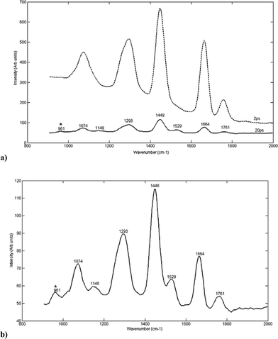 (a) A plot showing the Raman spectrum taken at different time delays (2 and 20 ps) following the laser pulse, of HAP measured through a section of fatty tissue (0.96 mm). (b) Raman spectra taken at the optimum time delay (20 ps) for the detection of characteristic HAP peaks through the fatty tissue section. The symbol ‘*’ indicates visible HAP peaks.