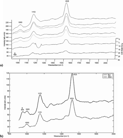 (a) 3D plot showing Raman spectra taken at different time delays following the laser pulse, of HAP measured through a section of malignant human breast tissue (0.31 mm). (b) Raman spectra taken at optimum time delays (5 and 20 ps) for the detection of characteristic HAP peaks. The symbol ‘*’ indicates visible HAP peaks.