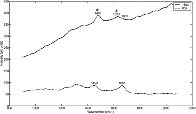 Raman spectra at different time delays (15 ps and 0 ps) following the laser pulse, of COD through a section of chicken breast tissue (0.9 mm). The optimum time delay for COD detection through the chicken breast tissue specimen was 15 ps (see discussion for explanation of peaks). The symbol ‘#’ indicates visible COD peaks.