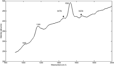 Raman spectra at 30 ps time delay, of COD through a section of normal human breast tissue (0.58 mm). The symbol ‘#’ indicates visible COD peaks at 1476 and 1634 cm–1.