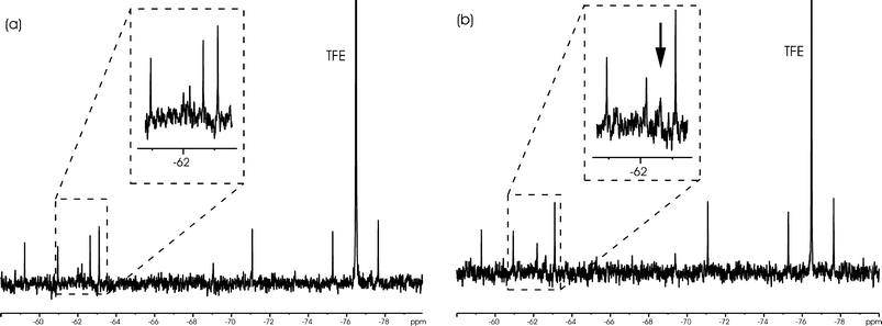 Typical 19F spectrum of a screening mixture with (a) and without (b) protein. In the expansion, the change of the chemical shift as well as the line broadening of the centre signal is visible.