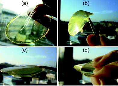 Evolution in appearance of the mechanical properties of the polymer films (a) F1, (b) F8, (c) F6 and (d) F7.