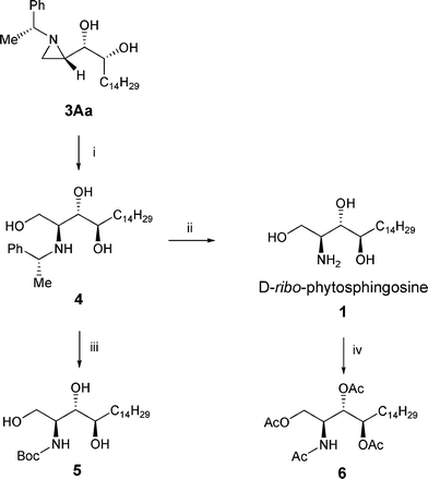 Conversion of dihydroxyaziridine (3Aa) to d-ribo-phytosphingosine (1). Reagents and conditions: (i) (1) AcOH, CH2Cl2; (2) KOH, EtOH, rt, 93%; (ii) Pd(OH)2, H2(g) 100 psi, EtOH, rt, 92%; (iii) Pd(OH)2, H2(g) 100 psi, EtOH, rt, (Boc)2O, 95%; (iv) acetic anhydride, pyridine, rt, 98%.