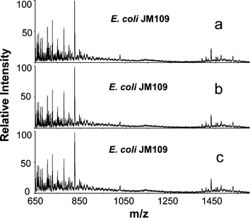 DESI mass spectra of E. coli JM109 obtained from different samples a) and b) of the same culture, c) another culture.