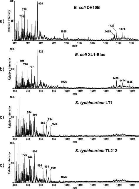 Typical DESI mass spectra of a) E. coli DH10B, b) E. coli XL1-Blue, c) S. typhimurium LT1 and d) S. typhimurium TL212.