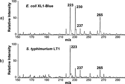 Typical low mass range DESI mass spectra of a) E. coli XL1-Blue and b) S. typhimurium LT1.