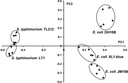 PCA score plot of five strains of bacteria cultivated and analyzed under identical conditions.