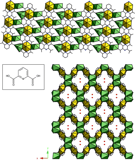 Inset: 2,6-pyridinedicarboxylic acid. Top: (UO2)(C7H3NO4)2Pb2(C2O4)(H2O)2. Pb(ii) sites are shown as green polyhedra; oxalate groups that link sheets have been omitted. Bottom: [(UO2)(C7H3NO4)2Pb·2H2O]. Red spheres are water molecules.