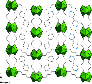[Pr2(C6H8O4)3(H2O)2]·(C10H8N2) shown along [010]. Neutral 4,4′-dipyridyl molecules occupy channels defined by chains of PrO10 polyhedra.